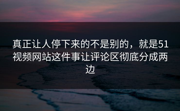 真正让人停下来的不是别的，就是51视频网站这件事让评论区彻底分成两边