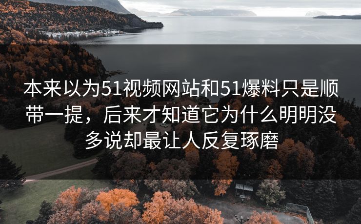 本来以为51视频网站和51爆料只是顺带一提，后来才知道它为什么明明没多说却最让人反复琢磨