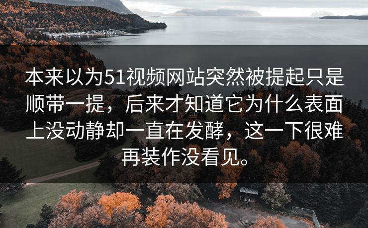 本来以为51视频网站突然被提起只是顺带一提，后来才知道它为什么表面上没动静却一直在发酵，这一下很难再装作没看见。